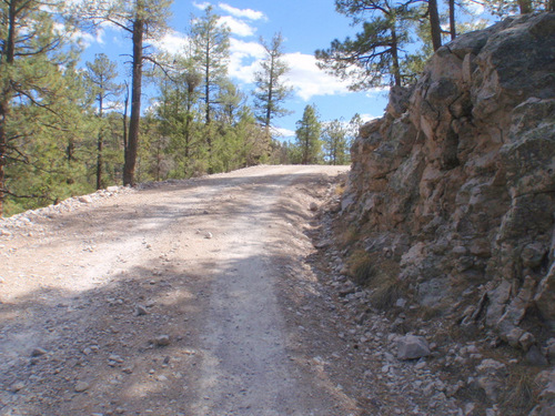 Climbing out of Rocky Canyon (GDMBR, Gila NF, NM, 31 Mar 2013).